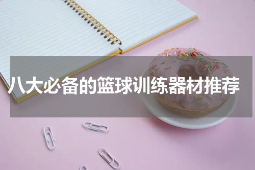  八大必备的篮球训练器材推荐