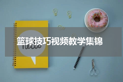  篮球技巧视频教学集锦