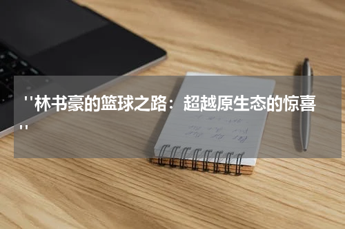  "林书豪的篮球之路：超越原生态的惊喜"