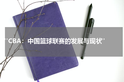  "CBA：中国篮球联赛的发展与现状"