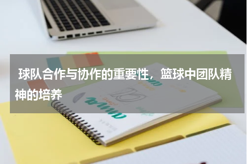  球队合作与协作的重要性，篮球中团队精神的培养