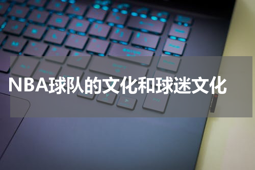  NBA球队的文化和球迷文化