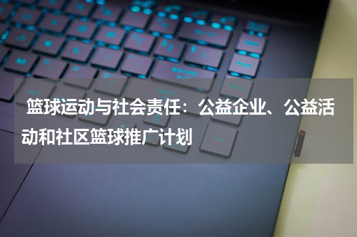  篮球运动与社会责任：公益企业、公益活动和社区篮球推广计划