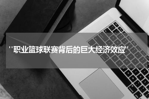  "职业篮球联赛背后的巨大经济效应"