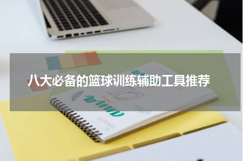  八大必备的篮球训练辅助工具推荐