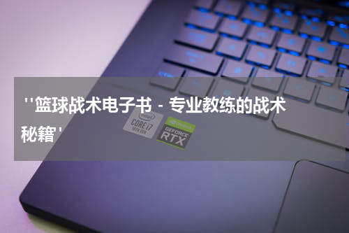  "篮球战术电子书 - 专业教练的战术秘籍"