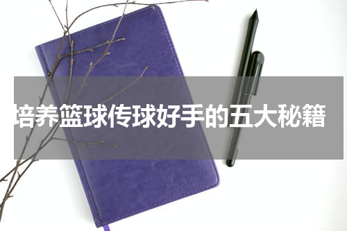  培养篮球传球好手的五大秘籍
