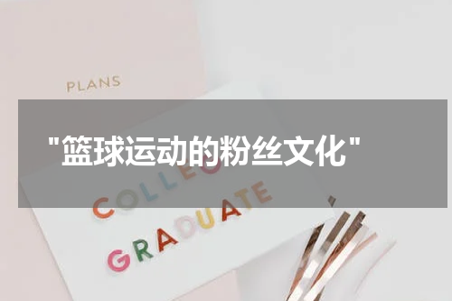  "篮球运动的粉丝文化"