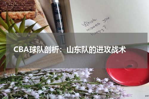  CBA球队剖析：山东队的进攻战术