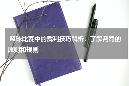  篮球比赛中的裁判技巧解析，了解判罚的原则和规则