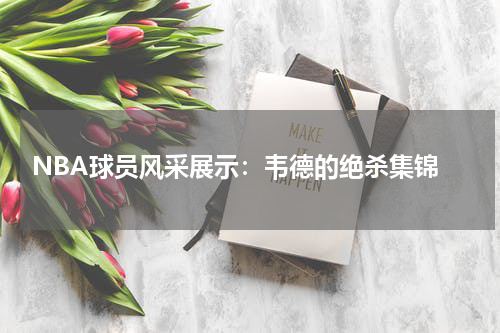  NBA球员风采展示：韦德的绝杀集锦