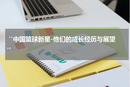  "中国篮球新星-他们的成长经历与展望"