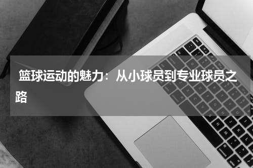  篮球运动的魅力：从小球员到专业球员之路