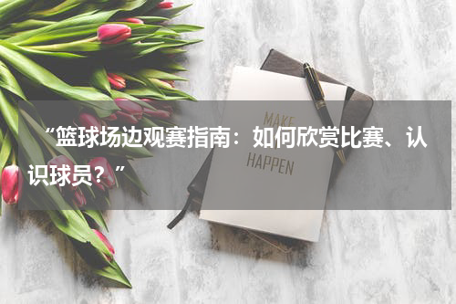  “篮球场边观赛指南：如何欣赏比赛、认识球员？”