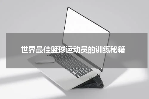  世界最佳篮球运动员的训练秘籍