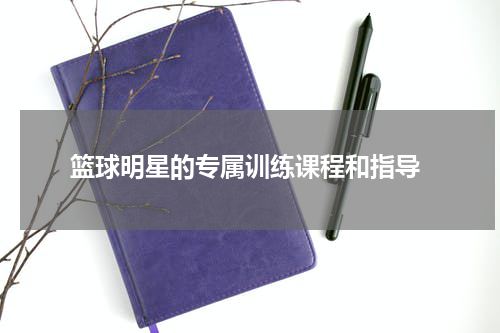  篮球明星的专属训练课程和指导
