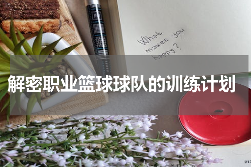  解密职业篮球球队的训练计划