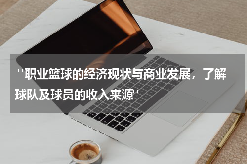  "职业篮球的经济现状与商业发展，了解球队及球员的收入来源"