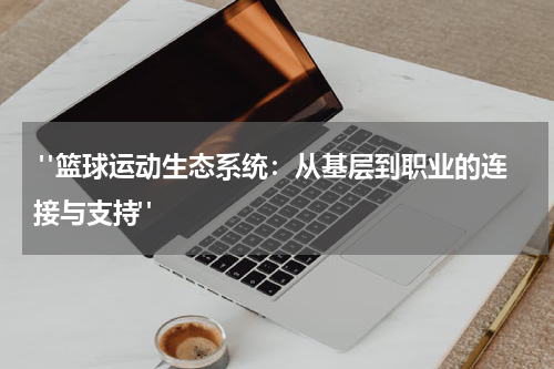  "篮球运动生态系统：从基层到职业的连接与支持"