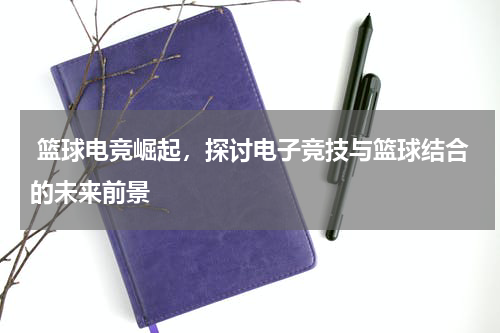  篮球电竞崛起，探讨电子竞技与篮球结合的未来前景