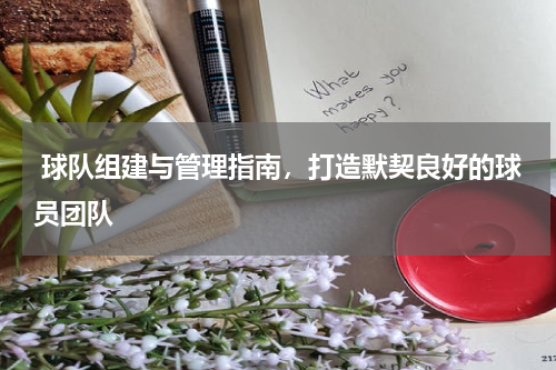  球队组建与管理指南，打造默契良好的球员团队