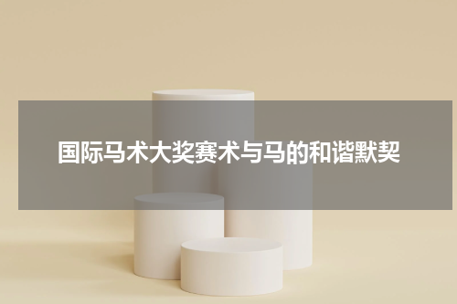 国际马术大奖赛术与马的和谐默契