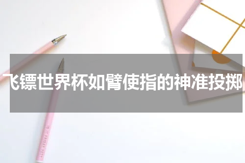 飞镖世界杯如臂使指的神准投掷