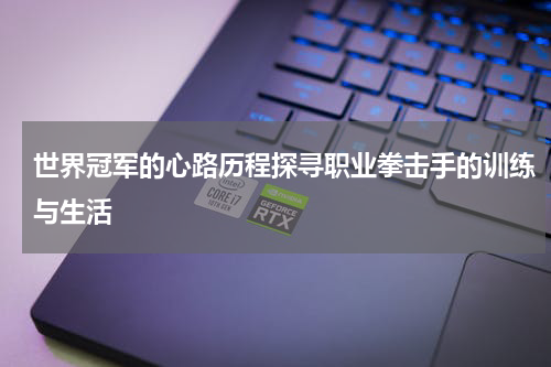 世界冠军的心路历程探寻职业拳击手的训练与生活
