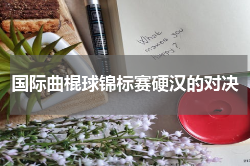 国际曲棍球锦标赛硬汉的对决