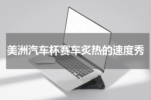 美洲汽车杯赛车炙热的速度秀