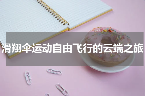 滑翔伞运动自由飞行的云端之旅