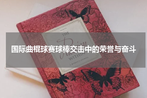 国际曲棍球赛球棒交击中的荣誉与奋斗