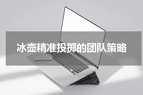 冰壶精准投掷的团队策略