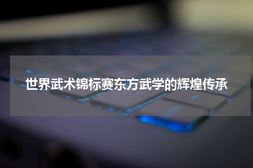 世界武术锦标赛东方武学的辉煌传承