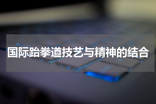 国际跆拳道技艺与精神的结合