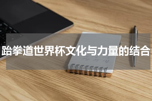 跆拳道世界杯文化与力量的结合