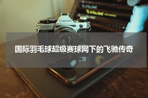 国际羽毛球超级赛球网下的飞驰传奇