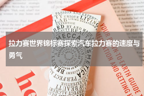 拉力赛世界锦标赛探索汽车拉力赛的速度与勇气