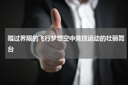 踏过界限的飞行梦想空中竞技运动的壮丽舞台