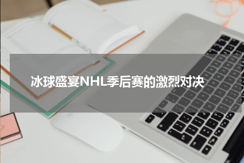 冰球盛宴NHL季后赛的激烈对决