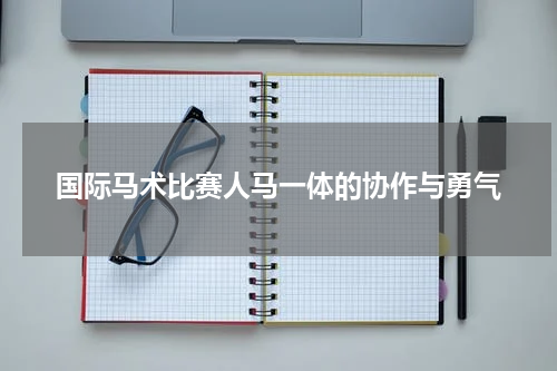 国际马术比赛人马一体的协作与勇气