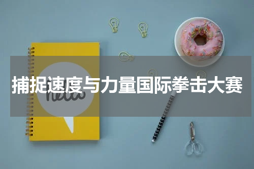 捕捉速度与力量国际拳击大赛