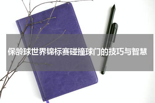保龄球世界锦标赛碰撞球门的技巧与智慧