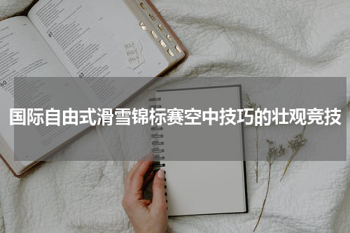 国际自由式滑雪锦标赛空中技巧的壮观竞技