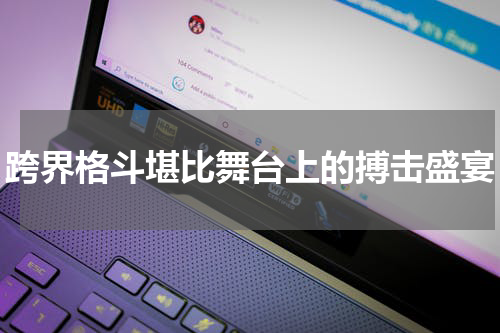 跨界格斗堪比舞台上的搏击盛宴