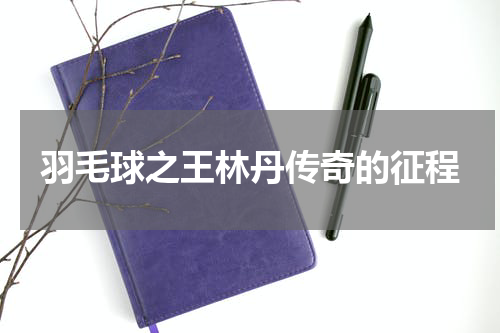 羽毛球之王林丹传奇的征程