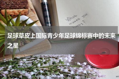 足球草皮上国际青少年足球锦标赛中的未来之星
