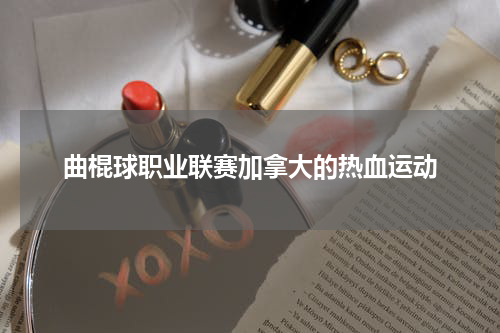 曲棍球职业联赛加拿大的热血运动
