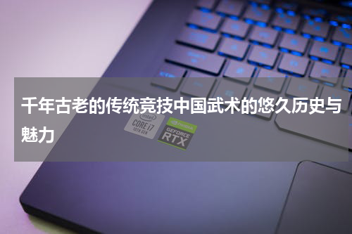 千年古老的传统竞技中国武术的悠久历史与魅力