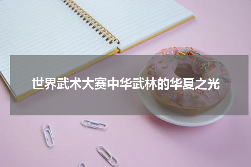 世界武术大赛中华武林的华夏之光